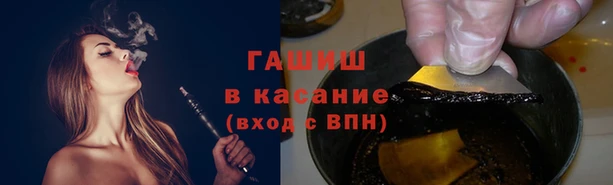 прущие грибы Балабаново