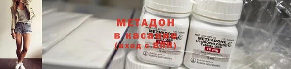 прущие грибы Балабаново