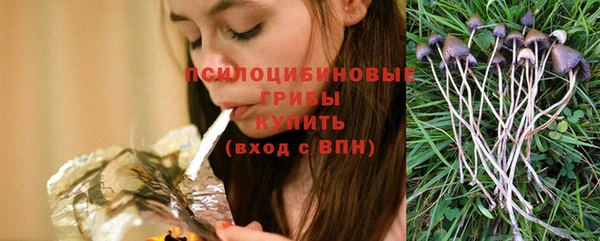 ешки Аркадак