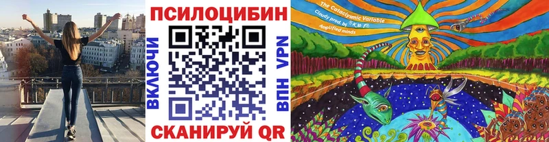 Галлюциногенные грибы Psilocybe shop состав Краснослободск
